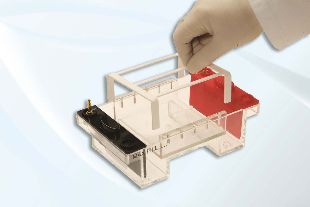 Cool-Pack and Platform for MultiSUB Screen Horizontal Gel Unit