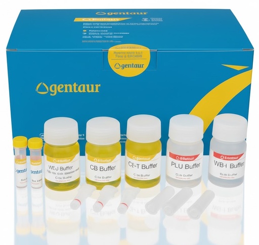 [sk-5617] Human Factor V genotyping Reagents